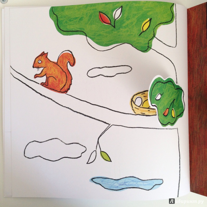Иллюстрация 31 из 70 для Разноцветная природа - Пито, Жерве | Лабиринт - книги. Источник: O_A