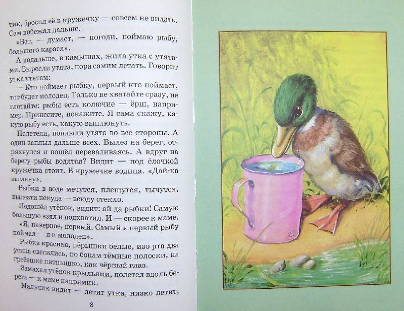 Иллюстрация 25 из 29 для Беспризорная кошка - Борис Житков | Лабиринт - книги. Источник: BOOKвочка