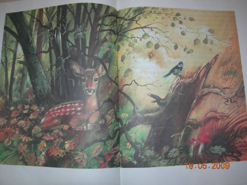 Иллюстрация 17 из 37 для Бемби: Лесная сказка - Феликс Зальтен | Лабиринт - книги. Источник: Соловей
