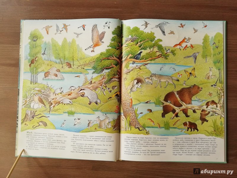 Иллюстрация 75 из 109 для В лесу - Петр Багин | Лабиринт - книги. Источник: Гошева  Елена