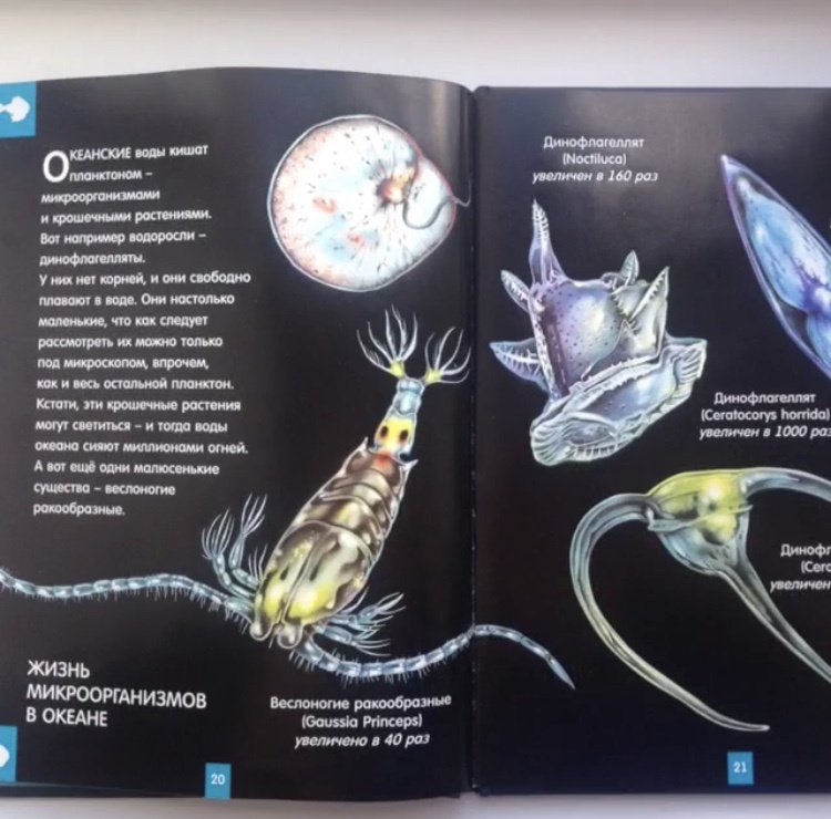 Иллюстрация 23 из 24 для Светящаяся книга о подводном мире - Николас Харрис | Лабиринт - книги. Источник: Зуева  Анастасия