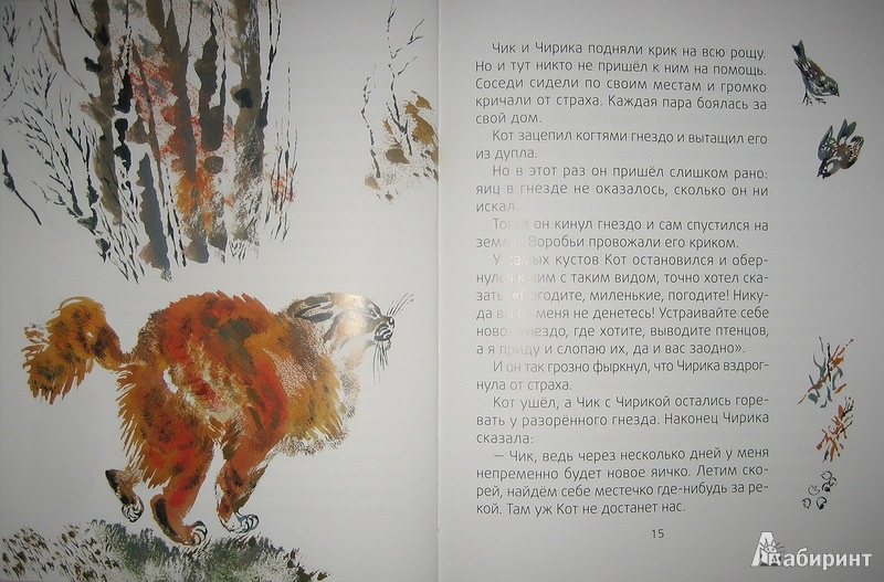 Иллюстрация 6 из 45 для Лесные разведчики - Виталий Бианки | Лабиринт - книги. Источник: Трухина Ирина