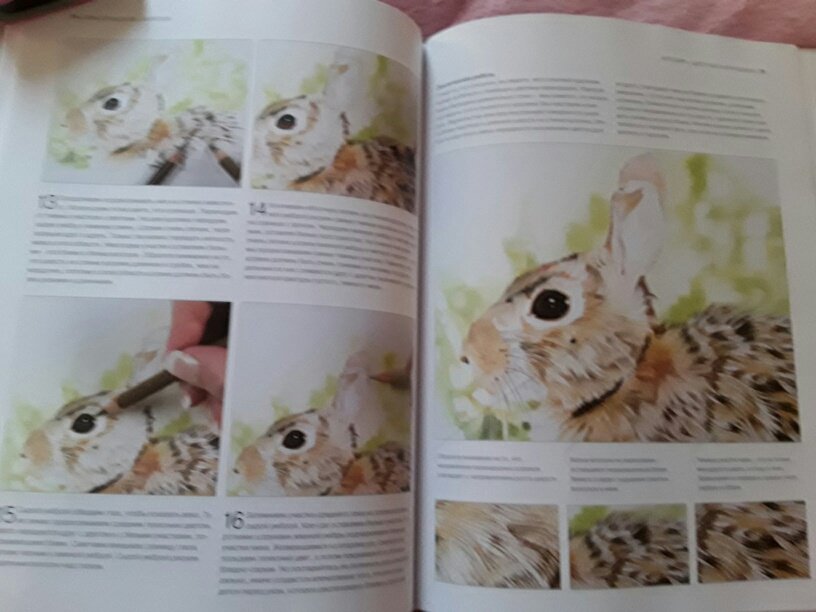 Иллюстрация 29 из 31 для Животные. От эскиза до картины - Ходжет, Трусс | Лабиринт - книги. Источник: Ан Дарья