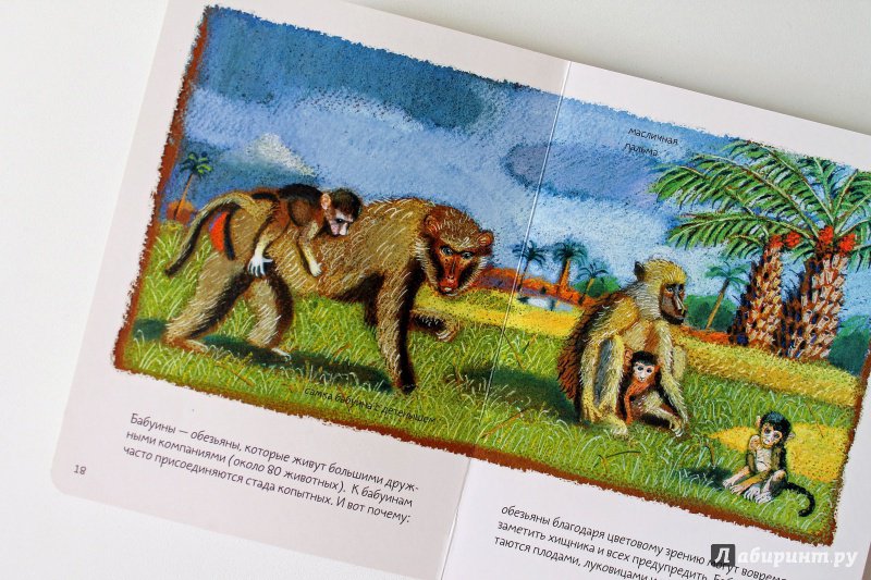 Иллюстрация 38 из 93 для Африканская саванна - Анна Веркина | Лабиринт - книги. Источник: Елена Пиндюрина
