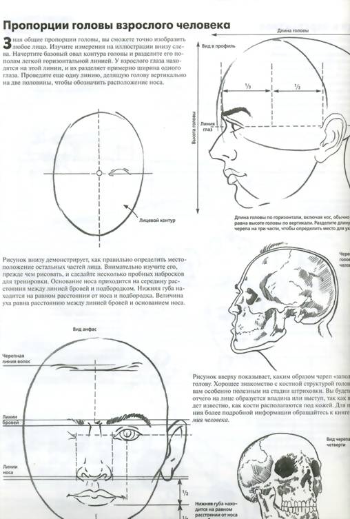Иллюстрация 6 из 20 для Рисуем голову и фигуру карандашом - Фрай Пауэлл | Лабиринт - книги. Источник: * Ольга *