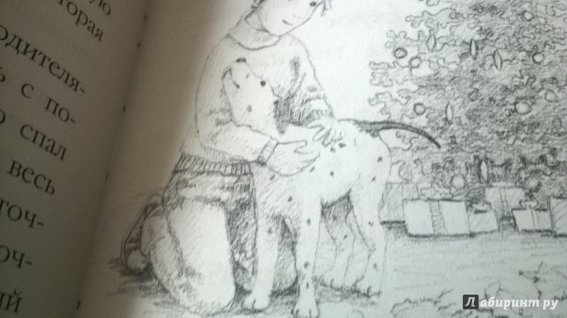 Иллюстрация 20 из 54 для Щенок Оскар, или Секрет счастливого Рождества - Холли Вебб | Лабиринт - книги. Источник: Кривцова  Любовь Евгеньевна