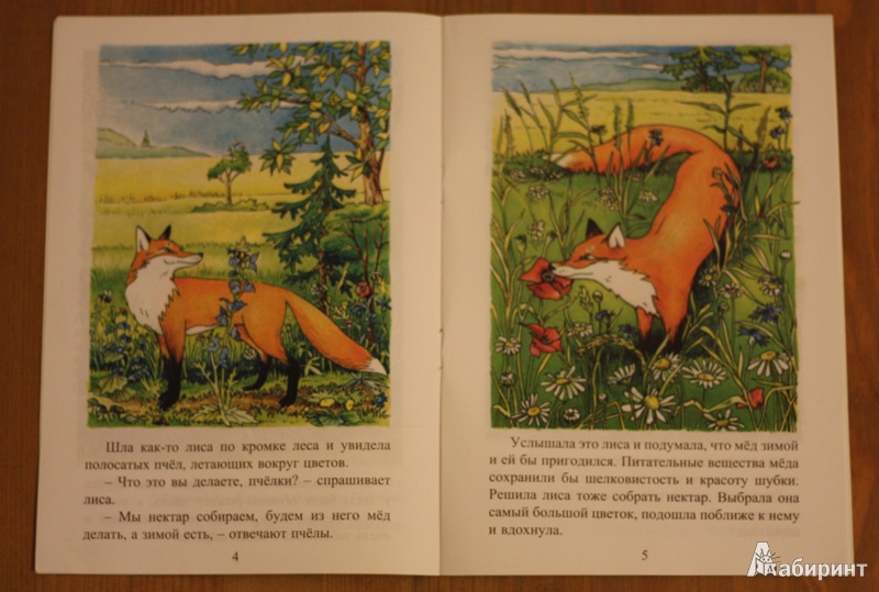 Иллюстрация 3 из 6 для Как лиса к зиме готовилась - Татьяна Ревякина | Лабиринт - книги. Источник: Майорика