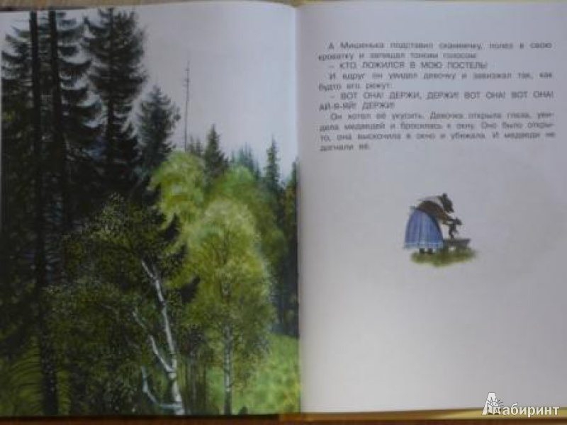 Иллюстрация 27 из 46 для Русские сказки о животных | Лабиринт - книги. Источник: Кирюшина  Татьяна Ивановна