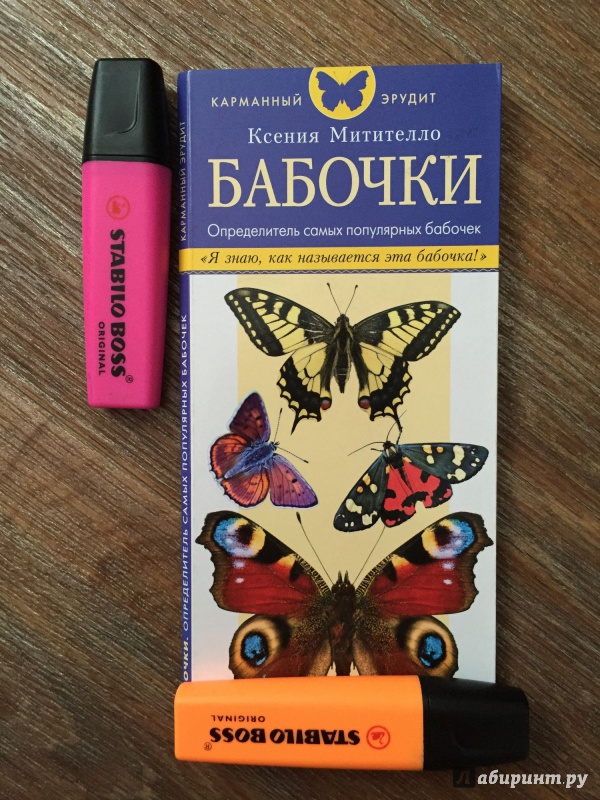 Иллюстрация 2 из 16 для Бабочки. Определитель самых популярных бабочек - Ксения Митителло | Лабиринт - книги. Источник: Родина  Евгения