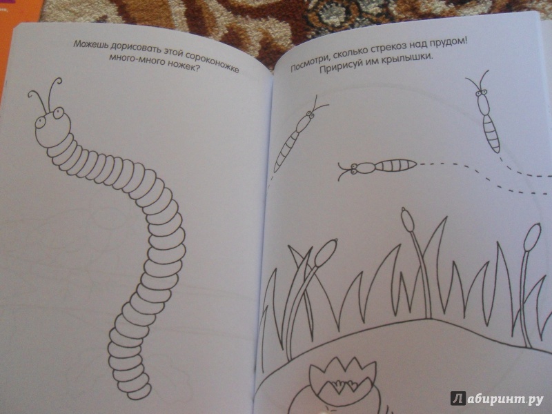 Иллюстрация 33 из 39 для Книга детского творчества. Забавные животные | Лабиринт - книги. Источник: knigolyub