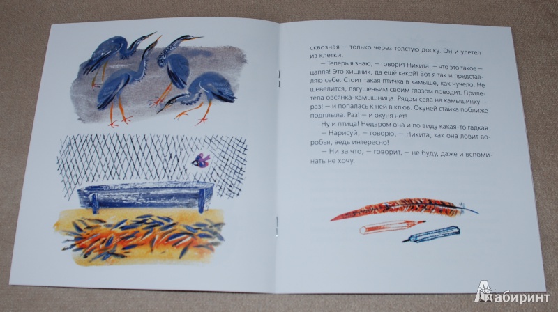 Иллюстрация 9 из 15 для Цапля - Евгений Чарушин | Лабиринт - книги. Источник: Книжный кот