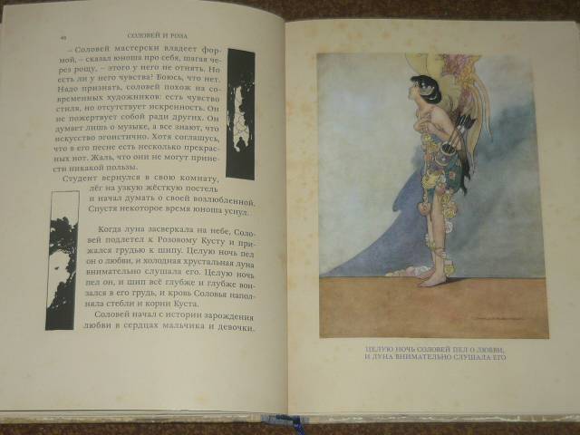 Иллюстрация 9 из 58 для "Счастливый принц" и другие сказки - Оскар Уайльд | Лабиринт - книги. Источник: Ромашка:-)