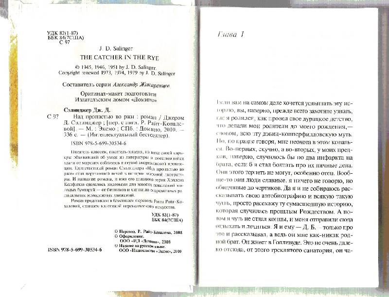 Иллюстрация 15 из 16 для Над пропастью во ржи - Джером Сэлинджер | Лабиринт - книги. Источник: Муравьева  Татьяна Николаевна