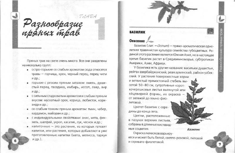 Иллюстрация 2 из 7 для Пряные травы на даче - Игорь Демин | Лабиринт - книги. Источник: ELVIRANIKA