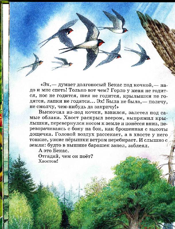Иллюстрация 84 из 87 для Сказки о родной природе - Бианки, Сладков, Шим | Лабиринт - книги. Источник: Нюта
