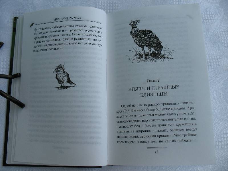 Иллюстрация 16 из 22 для Под пологом пьяного леса - Джеральд Даррелл | Лабиринт - книги. Источник: tayana