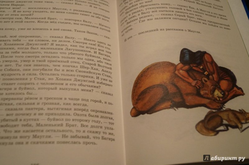 Иллюстрация 62 из 64 для Маугли - Редьярд Киплинг | Лабиринт - книги. Источник: Тухкина  Евгения