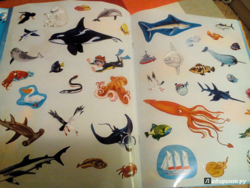 Иллюстрация 3 из 6 для В океане. Книжка-панорама с наклейками | Лабиринт - книги. Источник: Леночка