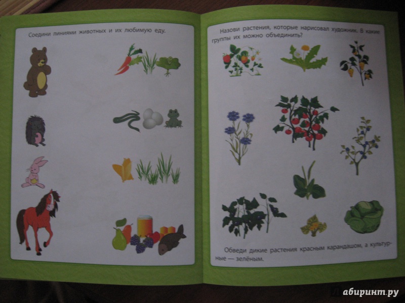 Иллюстрация 3 из 58 для Любознательным малышам. Окружающий мир - Евгения Ищук | Лабиринт - книги. Источник: Марина Епифанцева