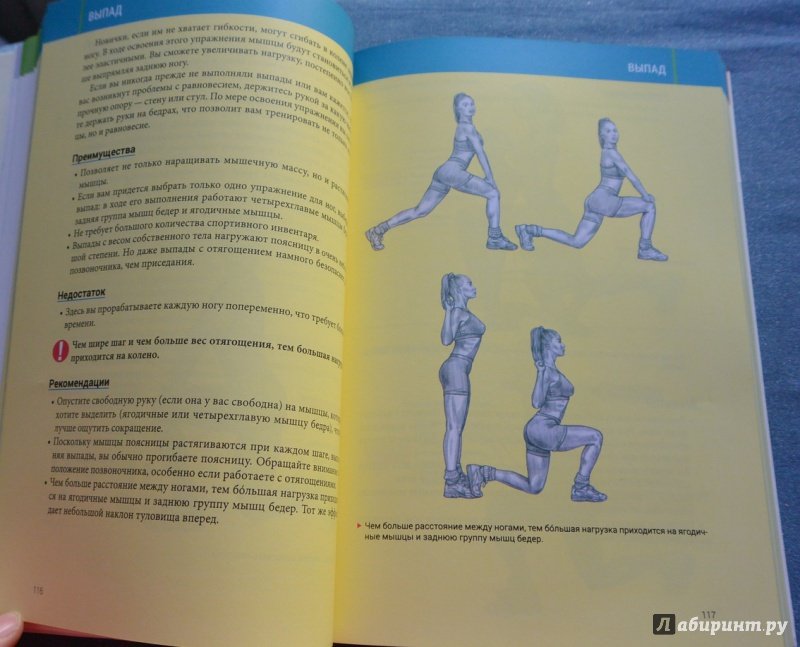Иллюстрация 37 из 85 для Анатомия силовых тренировок для женщин - Делавье, Гандил | Лабиринт - книги. Источник: IrSh