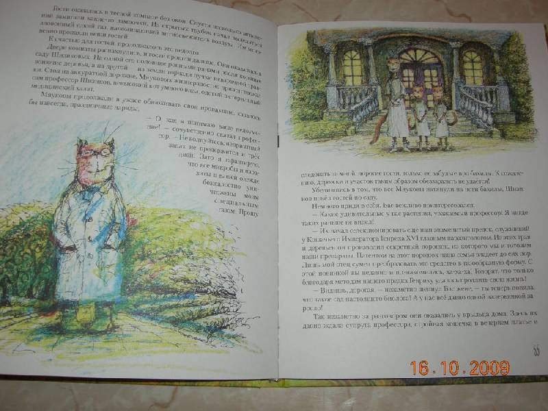 Иллюстрация 13 из 27 для Необыкновенные приключения кота Баса - Савва Шанаев | Лабиринт - книги. Источник: Соловей