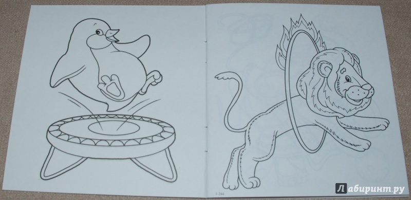 Иллюстрация 3 из 25 для Цирк | Лабиринт - книги. Источник: Книжный кот