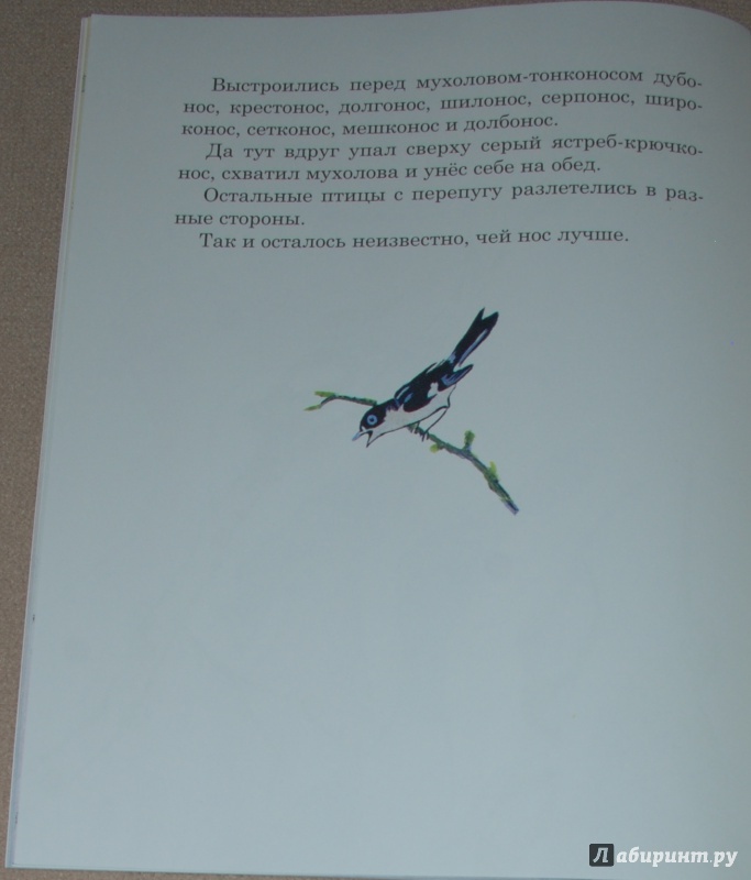 Иллюстрация 25 из 51 для Чей нос лучше - Виталий Бианки | Лабиринт - книги. Источник: Книжный кот