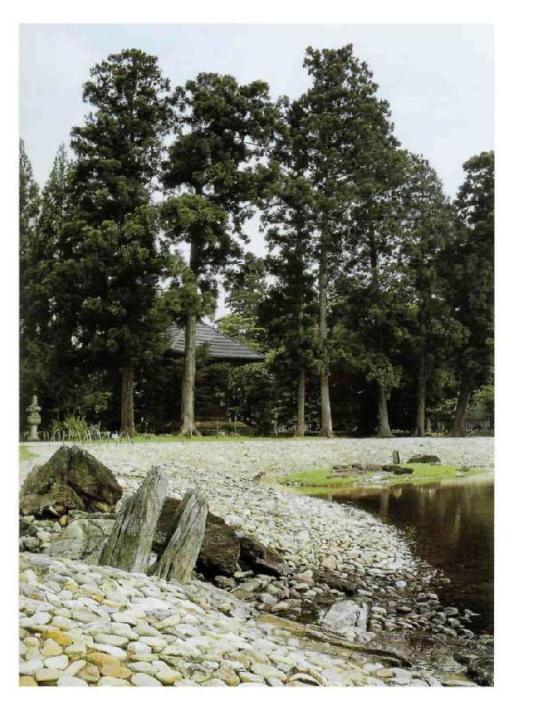 Иллюстрация 17 из 36 для Japanese Gardens - Gunter Nitschke | Лабиринт - книги. Источник: lexus
