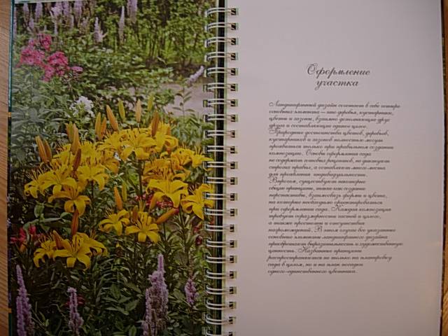 Иллюстрация 16 из 19 для Миллион цветов на вашем участке - Князева, Князева | Лабиринт - книги. Источник: Читательница.