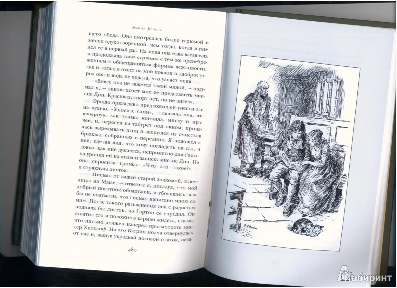 Иллюстрация 8 из 11 для Грозовой перевал - Эмили Бронте | Лабиринт - книги. Источник: Evgeniya