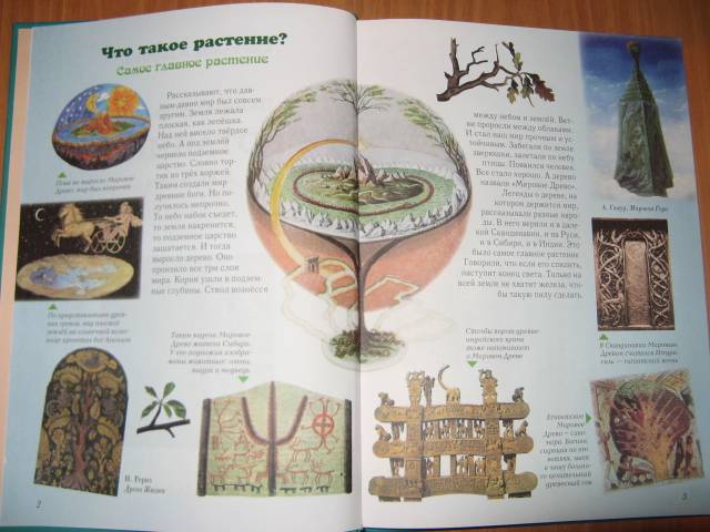 Иллюстрация 2 из 49 для Занимательная ботаника - Светлана Лаврова | Лабиринт - книги. Источник: varta