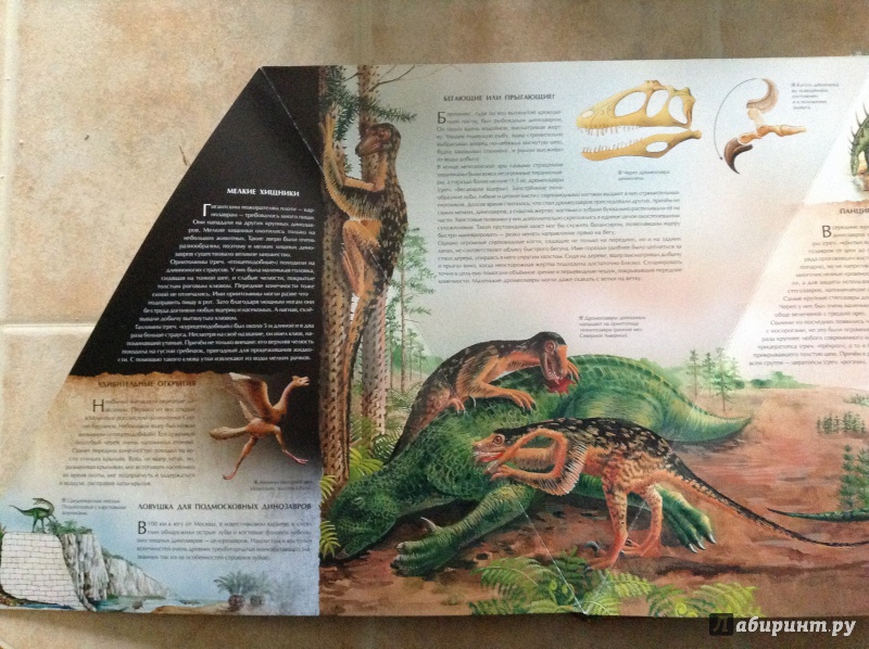 Иллюстрация 10 из 12 для Динозавры - Андрей Журавлев | Лабиринт - книги. Источник: bunabuna350