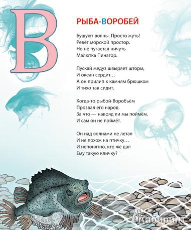 Иллюстрация 4 из 17 для Морская азбука - Андрей Усачев | Лабиринт - книги. Источник: Гусева  Анна Сергеевна