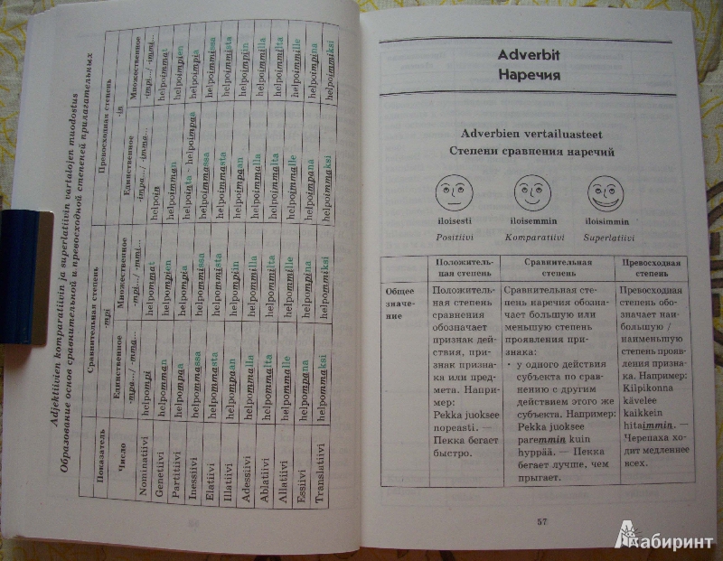Иллюстрация 11 из 16 для Финская грамматика в таблицах и схемах - Ангелина Журавлева | Лабиринт - книги. Источник: Спящая на ходу