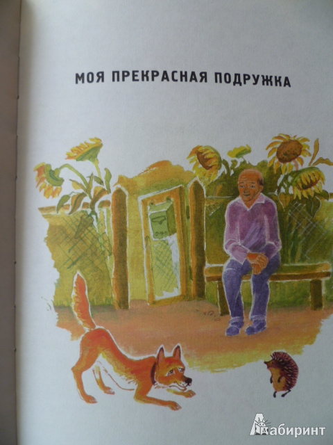 Иллюстрация 14 из 38 для Мои собаки - Леонид Сергеев | Лабиринт - книги. Источник: Avid Reader