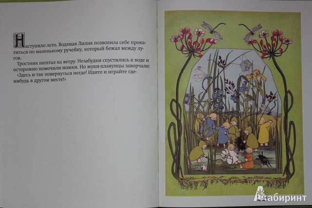 Иллюстрация 13 из 23 для Детки Матушки Земли - фон Олферс | Лабиринт - книги. Источник: сима