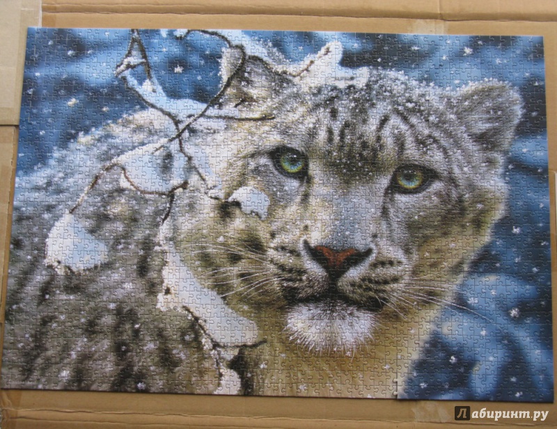 Иллюстрация 3 из 8 для Puzzle-1500. "Снежный леопард" (С-150823) | Лабиринт - игрушки. Источник: Скочилова  Елена