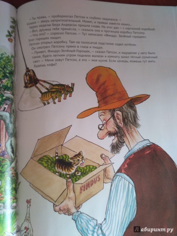 Иллюстрация 40 из 102 для История о том как Финдус потерялся, когда был маленьким - Свен Нурдквист | Лабиринт - книги. Источник: irinka_m