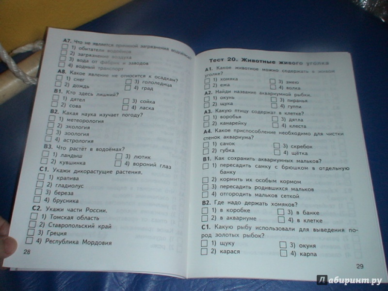 Иллюстрация 8 из 13 для Окружающий мир. 2 класс. Контрольно-измерительные материалы. ФГОС | Лабиринт - книги. Источник: prema81