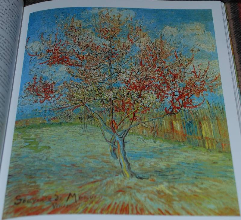 Иллюстрация 10 из 28 для Винсент Ван Гог. Видение и реальность - Инго Вальтер | Лабиринт - книги. Источник: МаRUSя
