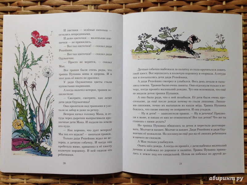 Иллюстрация 18 из 62 для Желтый, белый, лиловый - Нина Павлова | Лабиринт - книги. Источник: Транжира