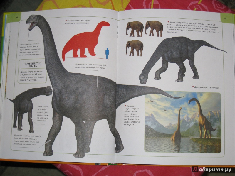 Иллюстрация 16 из 34 для Динозавры | Лабиринт - книги. Источник: vs