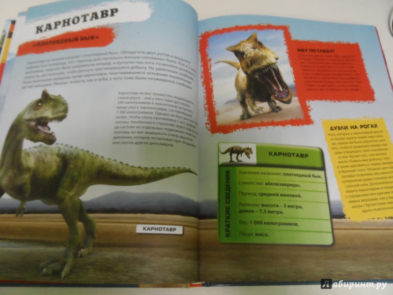 Иллюстрация 5 из 8 для Самые страшные динозавры. Детская энциклопедия | Лабиринт - книги. Источник: Брежнева  Инга