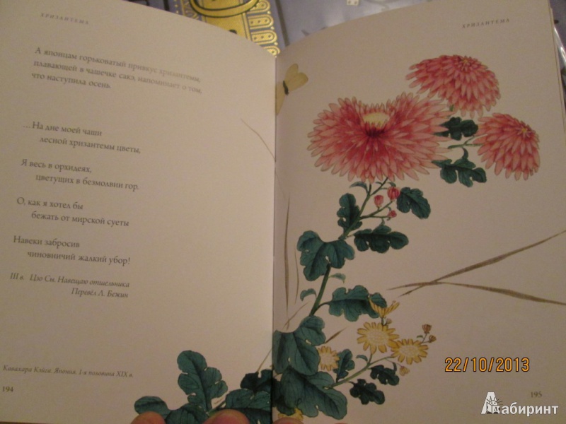 Иллюстрация 33 из 58 для Любовь к ботанике | Лабиринт - книги. Источник: Алонсо Кихано