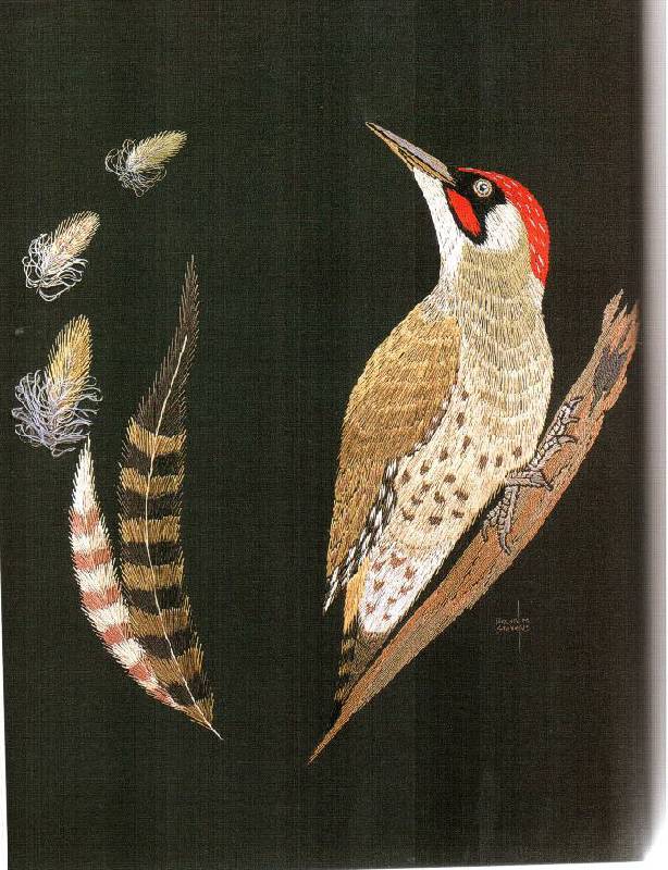 Иллюстрация 27 из 33 для Птицы. Практическое руководство - Хелен Стивенс | Лабиринт - книги. Источник: Юта
