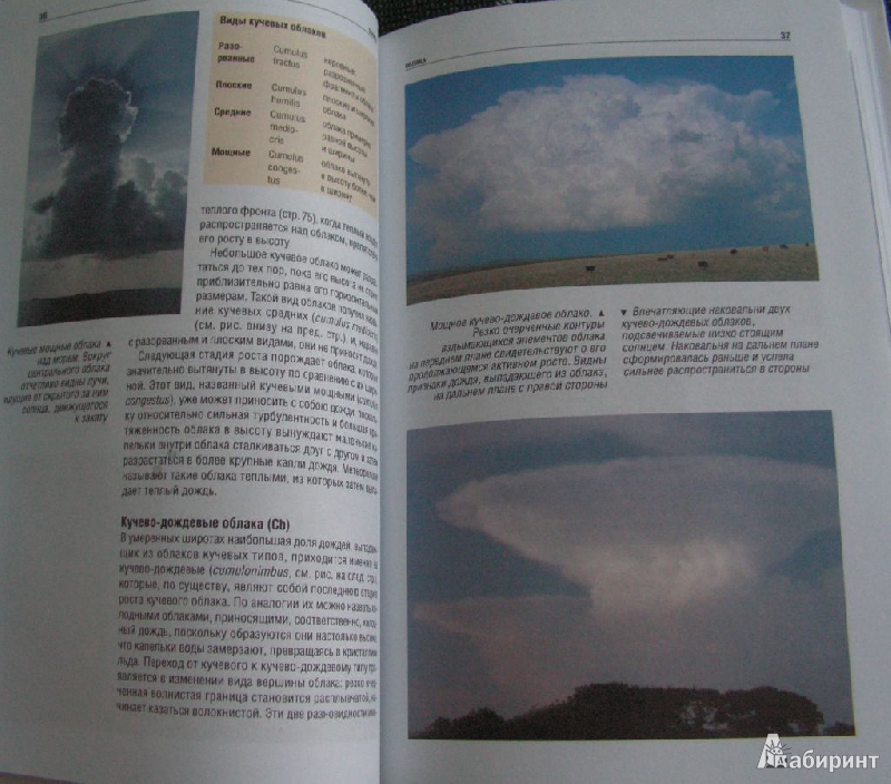 Иллюстрация 22 из 26 для Атлас погоды. Атмосферные явления и прогнозы - Сторм Данлоп | Лабиринт - книги. Источник: Solen
