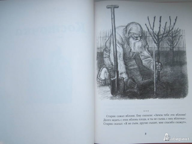 Иллюстрация 12 из 24 для Косточка - Лев Толстой | Лабиринт - книги. Источник: Shona