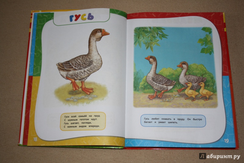 Иллюстрация 46 из 174 для Годовой курс занятий. Для детей 1-2 лет - Далидович, Мазаник, Цивилько | Лабиринт - книги. Источник: shamaeva