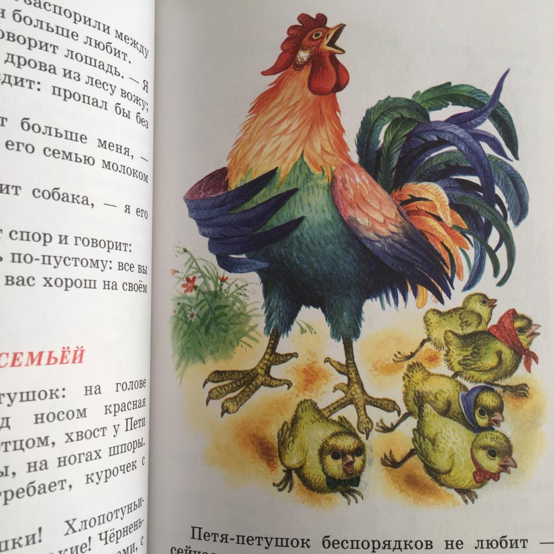 Иллюстрация 35 из 36 для Рассказы - Константин Ушинский | Лабиринт - книги. Источник: Лиса