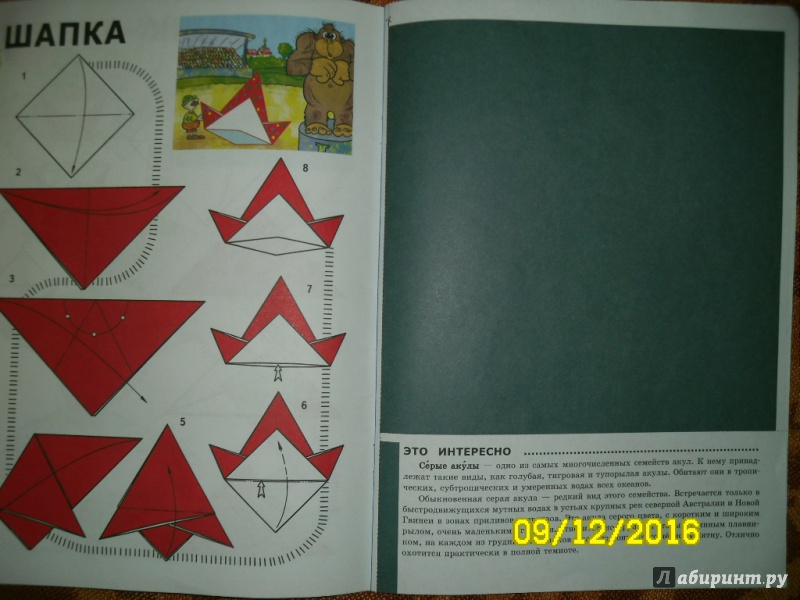 Иллюстрация 8 из 34 для Оригами для малышей. 4+. Простые модели. ФГОС ДО - Виктор Выгонов | Лабиринт - книги. Источник: Дорофеева  Анна